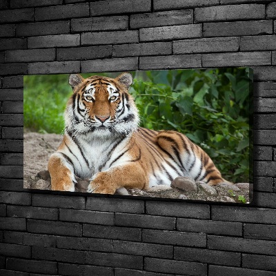 Cuadro canvas con impresión uv duradera horizontal tigre siberiano
