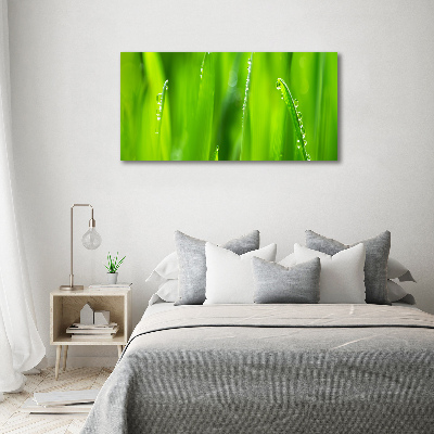 Cuadro canvas moderno de gran formato horizontal Avena joven