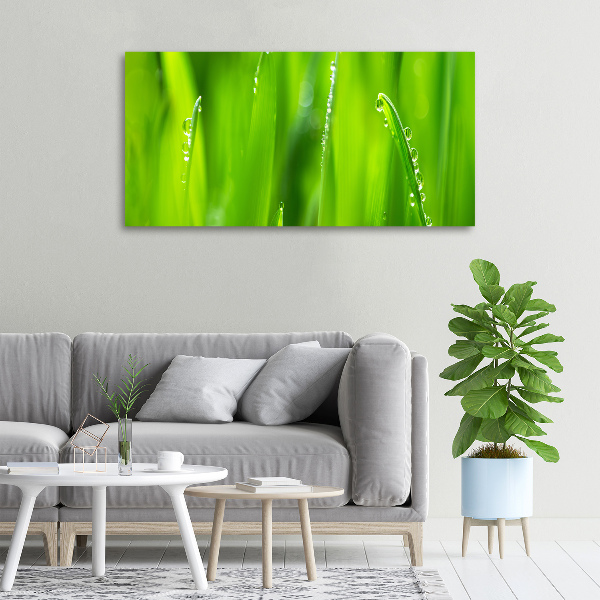 Cuadro canvas moderno de gran formato horizontal Avena joven