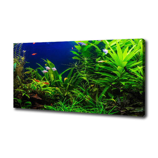 Cuadro canvas con impresión uv duradera horizontal Peces en el acuario