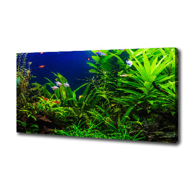 Cuadro canvas con impresión uv duradera horizontal Peces en el acuario