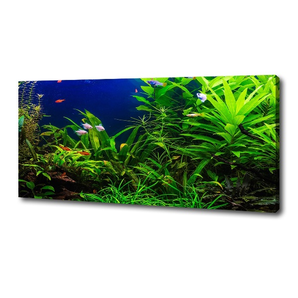 Cuadro canvas con impresión uv duradera horizontal Peces en el acuario