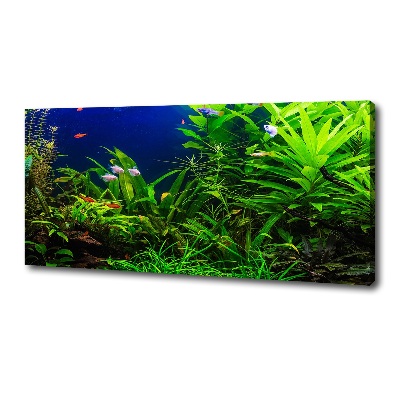 Cuadro canvas con impresión uv duradera horizontal Peces en el acuario