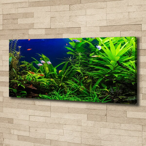Cuadro canvas con impresión uv duradera horizontal Peces en el acuario