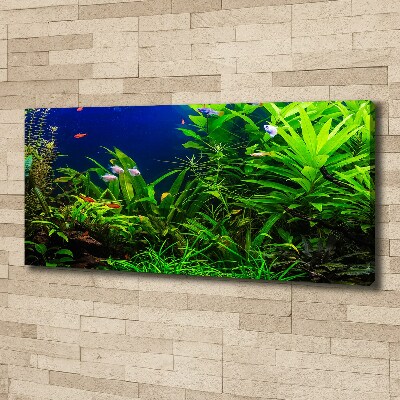 Cuadro canvas con impresión uv duradera horizontal Peces en el acuario