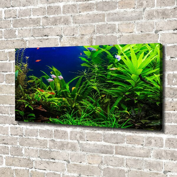 Cuadro canvas con impresión uv duradera horizontal Peces en el acuario