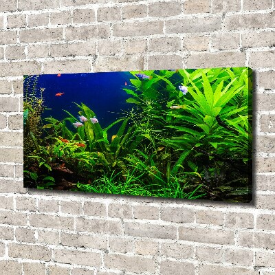 Cuadro canvas con impresión uv duradera horizontal Peces en el acuario