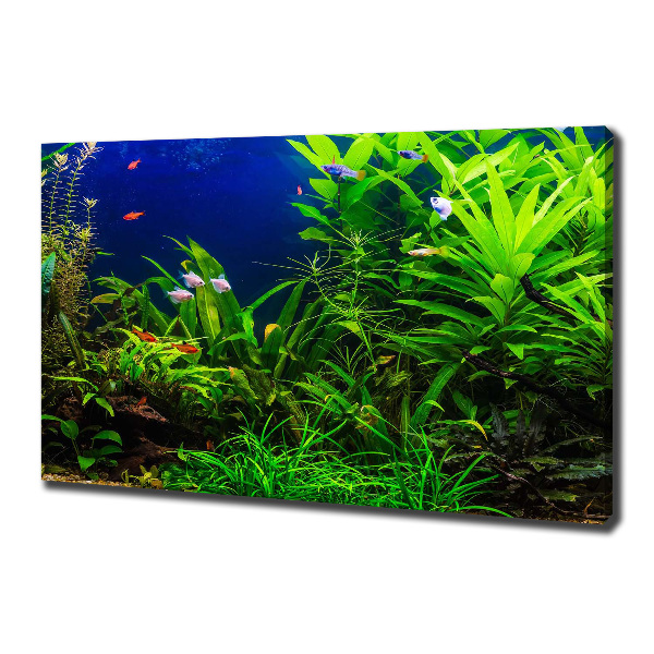 Cuadro canvas con impresión uv duradera horizontal Peces en el acuario