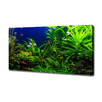 Cuadro canvas con impresión uv duradera horizontal Peces en el acuario