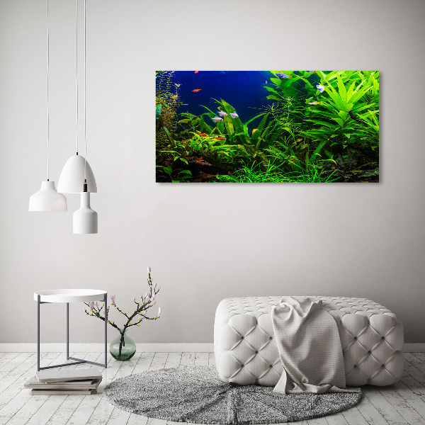 Cuadro canvas con impresión uv duradera horizontal Peces en el acuario