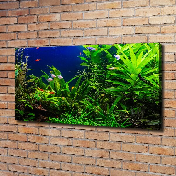 Cuadro canvas con impresión uv duradera horizontal Peces en el acuario