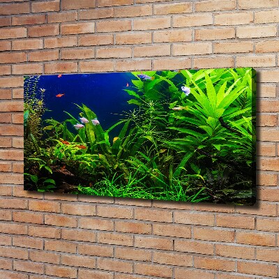 Cuadro canvas con impresión uv duradera horizontal Peces en el acuario