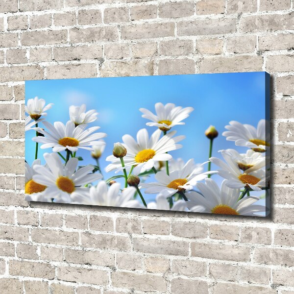 Cuadro canvas moderno de gran formato horizontal margaritas