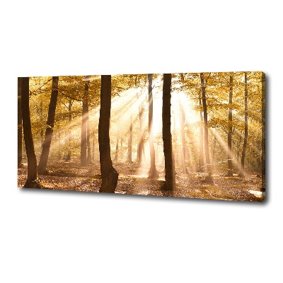 Cuadro canvas con impresión uv duradera horizontal Bosque en otoño