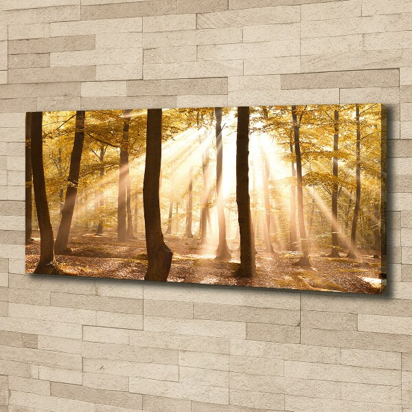 Cuadro canvas con impresión uv duradera horizontal Bosque en otoño