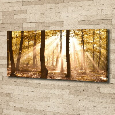 Cuadro canvas con impresión uv duradera horizontal Bosque en otoño
