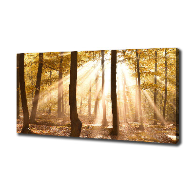 Cuadro canvas con impresión uv duradera horizontal Bosque en otoño