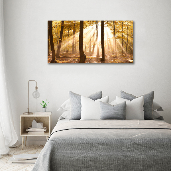 Cuadro canvas con impresión uv duradera horizontal Bosque en otoño