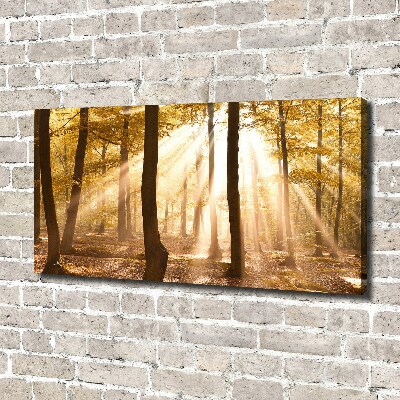Cuadro canvas con impresión uv duradera horizontal Bosque en otoño