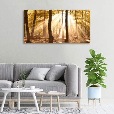 Cuadro canvas con impresión uv duradera horizontal Bosque en otoño