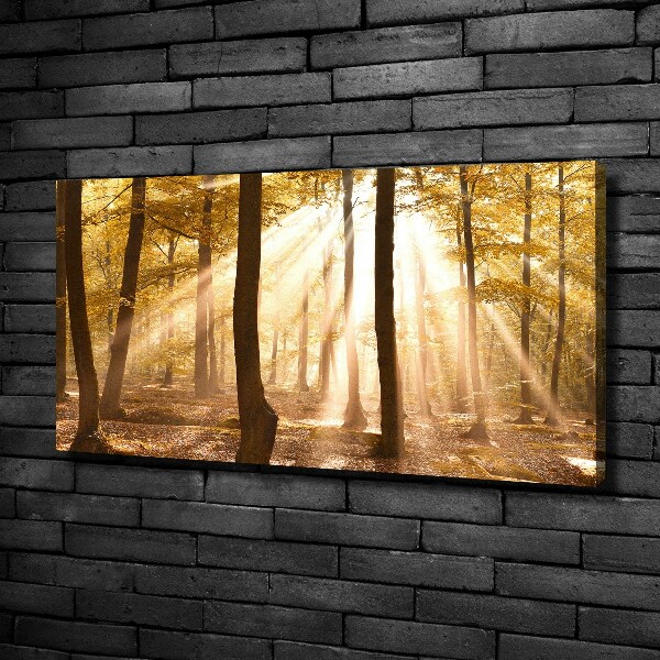 Cuadro canvas con impresión uv duradera horizontal Bosque en otoño