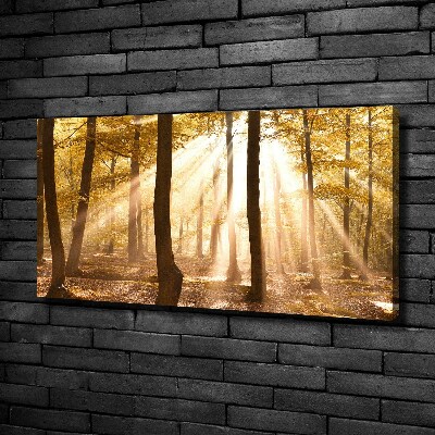 Cuadro canvas con impresión uv duradera horizontal Bosque en otoño