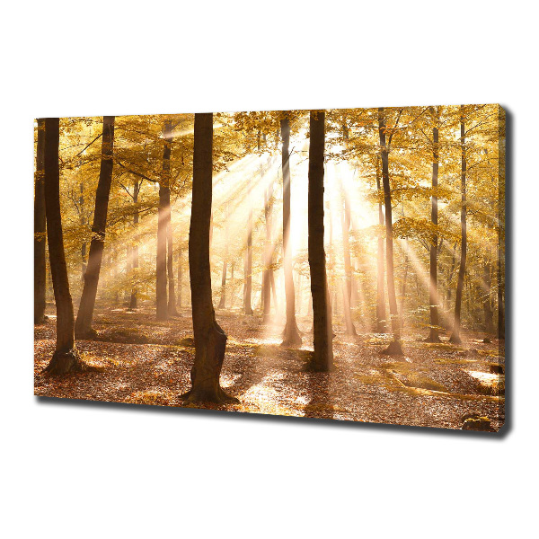 Cuadro canvas con impresión uv duradera horizontal Bosque en otoño