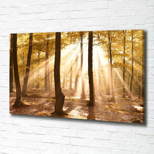 Cuadro canvas con impresión uv duradera horizontal Bosque en otoño