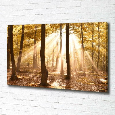 Cuadro canvas con impresión uv duradera horizontal Bosque en otoño