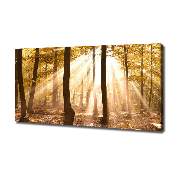 Cuadro canvas con impresión uv duradera horizontal Bosque en otoño