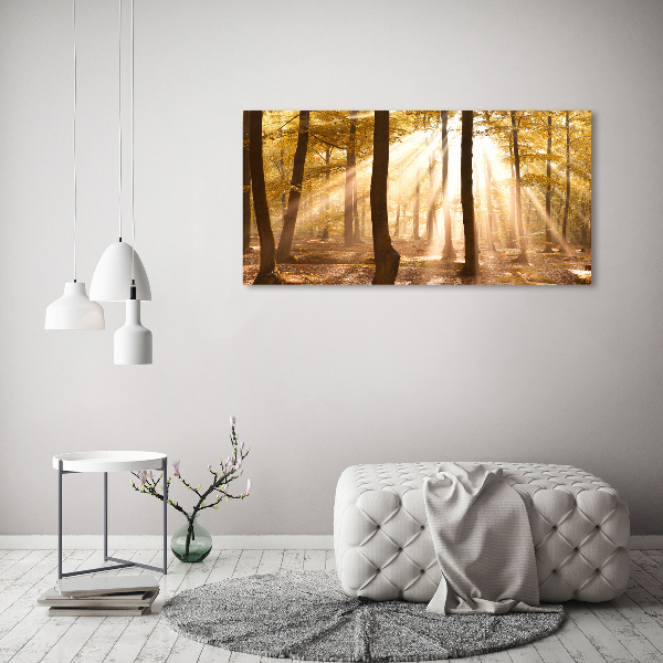 Cuadro canvas con impresión uv duradera horizontal Bosque en otoño