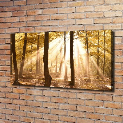 Cuadro canvas con impresión uv duradera horizontal Bosque en otoño