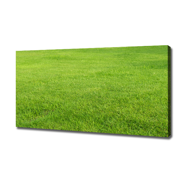 Cuadro canvas moderno de gran formato horizontal Hierba verde