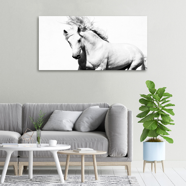 Cuadro canvas con impresión uv duradera horizontal Caballo blanco