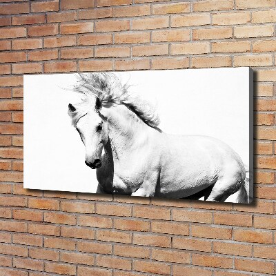 Cuadro canvas con impresión uv duradera horizontal Caballo blanco