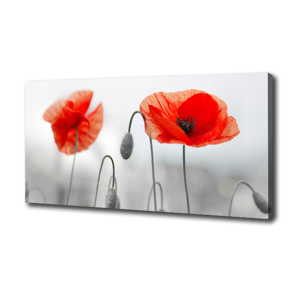 Cuadro canvas con impresión uv duradera horizontal Amapolas