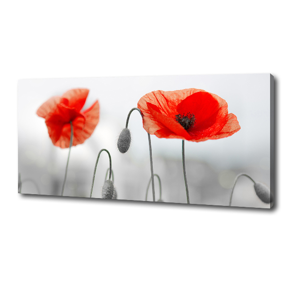 Cuadro canvas con impresión uv duradera horizontal Amapolas
