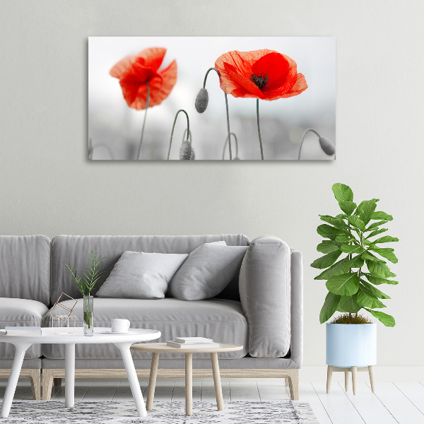 Cuadro canvas con impresión uv duradera horizontal Amapolas