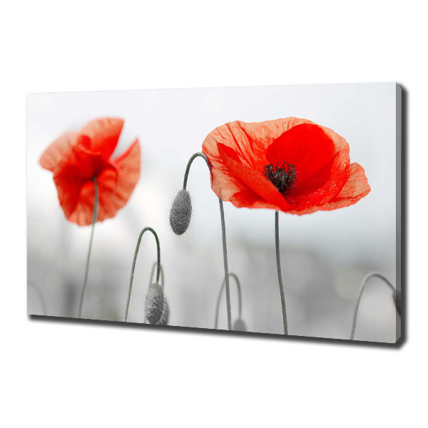 Cuadro canvas con impresión uv duradera horizontal Amapolas