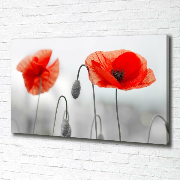 Cuadro canvas con impresión uv duradera horizontal Amapolas