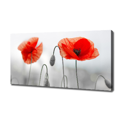 Cuadro canvas con impresión uv duradera horizontal Amapolas