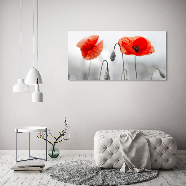 Cuadro canvas con impresión uv duradera horizontal Amapolas