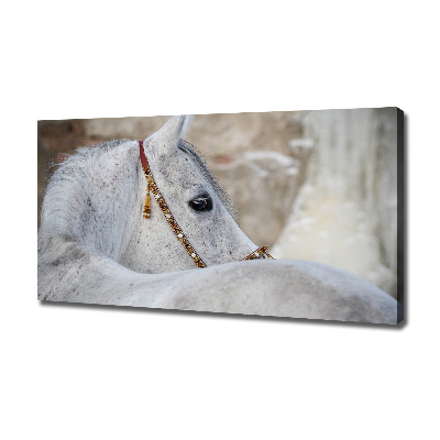 Cuadro canvas moderno de gran formato horizontal Caballo árabe blanco