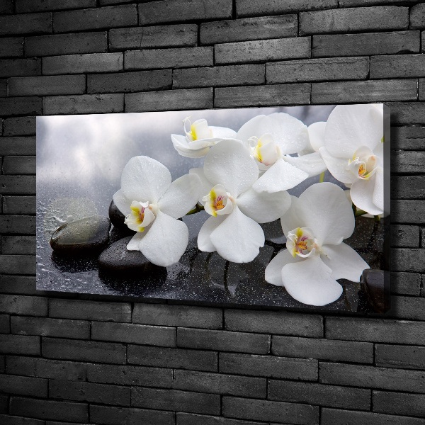 Cuadro canvas con impresión uv duradera horizontal Orquídea