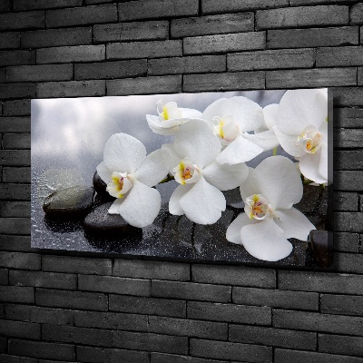 Cuadro canvas con impresión uv duradera horizontal Orquídea