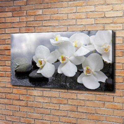 Cuadro canvas con impresión uv duradera horizontal Orquídea