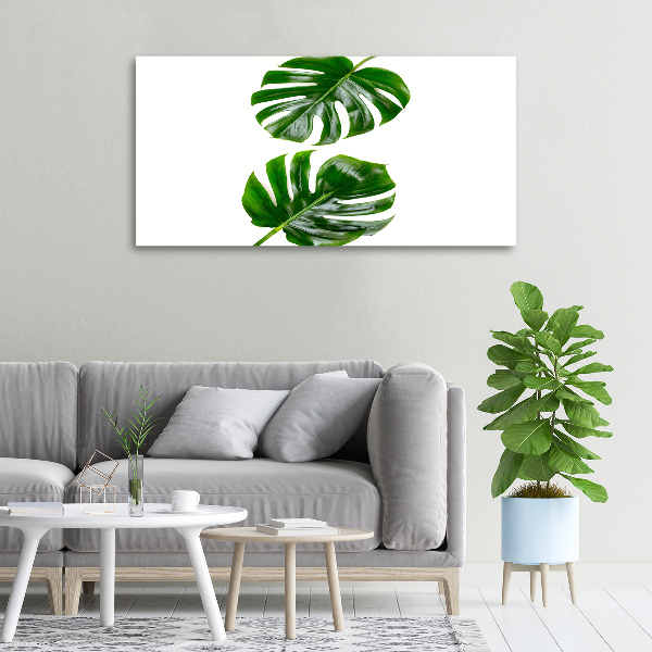 Cuadro canvas con impresión uv duradera horizontal hojas tropicales