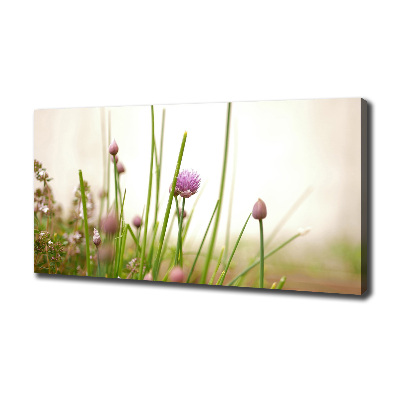 Cuadro canvas moderno de gran formato horizontal Cebollino