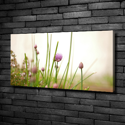 Cuadro canvas moderno de gran formato horizontal Cebollino