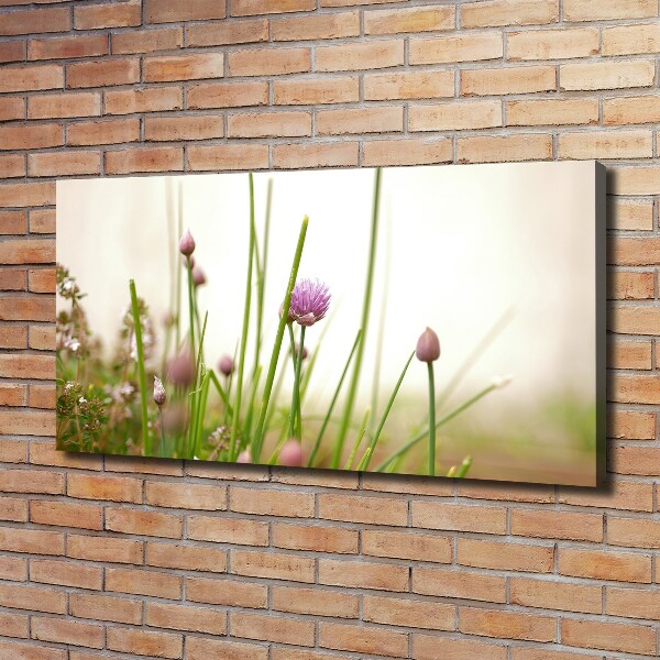 Cuadro canvas moderno de gran formato horizontal Cebollino